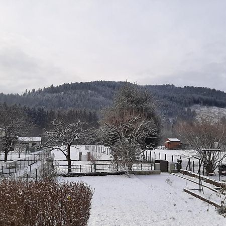 Chez Vovone 3 Etoiles Clevacances Saulxures-sur-Moselotte Esterno foto