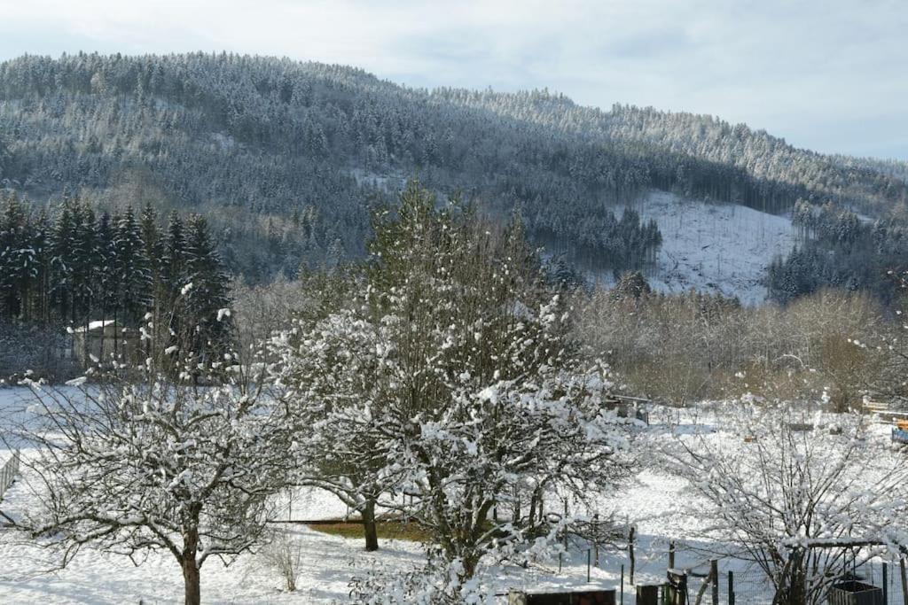 Chez Vovone 3 Etoiles Clevacances Saulxures-sur-Moselotte Esterno foto
