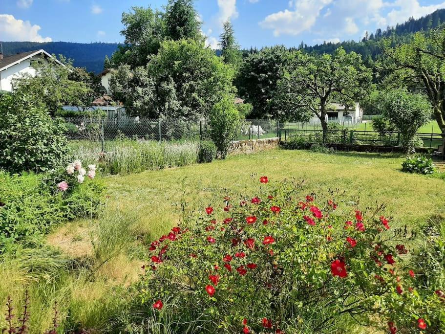 Chez Vovone 3 Etoiles Clevacances Saulxures-sur-Moselotte Esterno foto