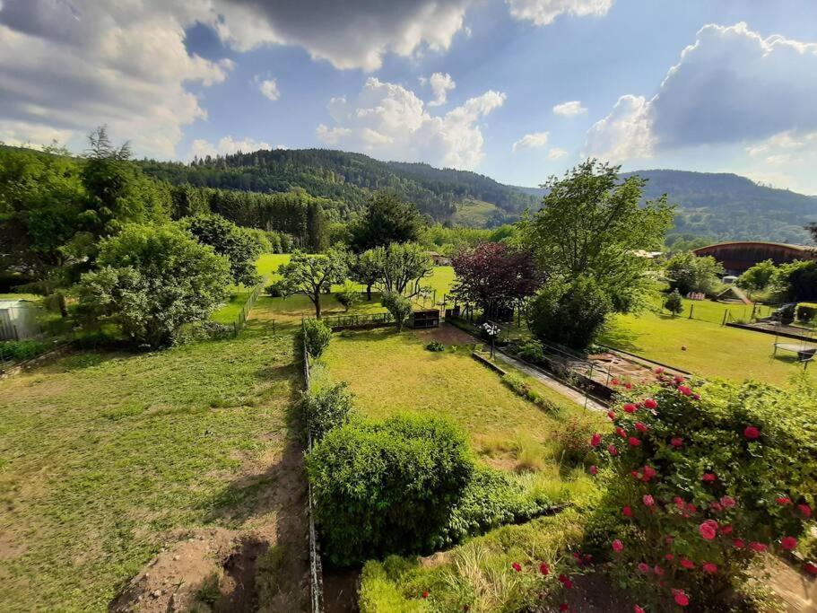 Chez Vovone 3 Etoiles Clevacances Saulxures-sur-Moselotte Esterno foto