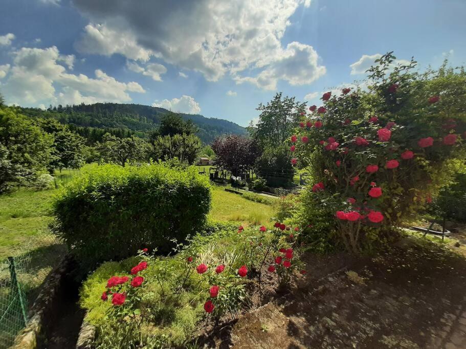 Chez Vovone 3 Etoiles Clevacances Saulxures-sur-Moselotte Esterno foto