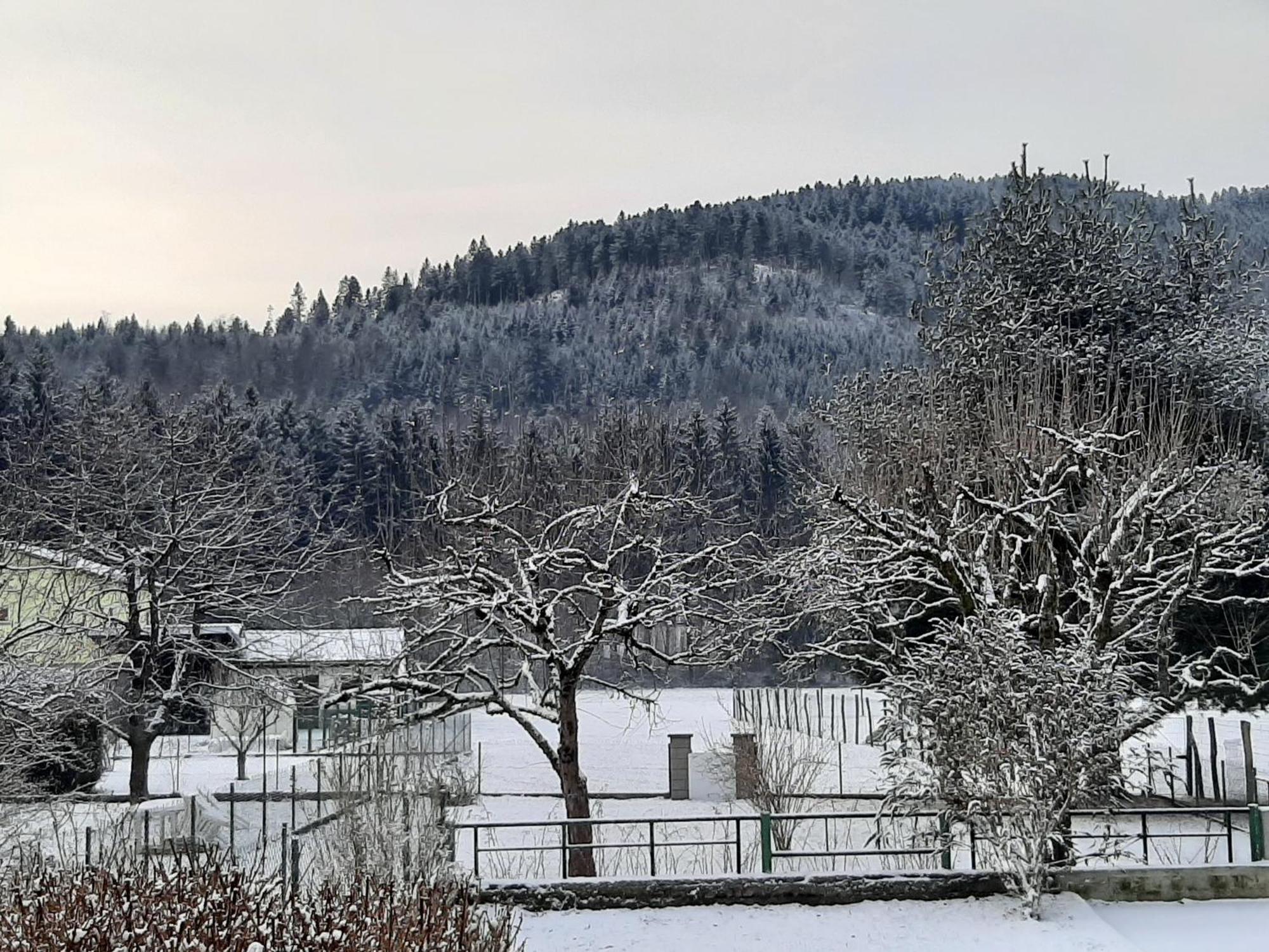 Chez Vovone 3 Etoiles Clevacances Saulxures-sur-Moselotte Esterno foto
