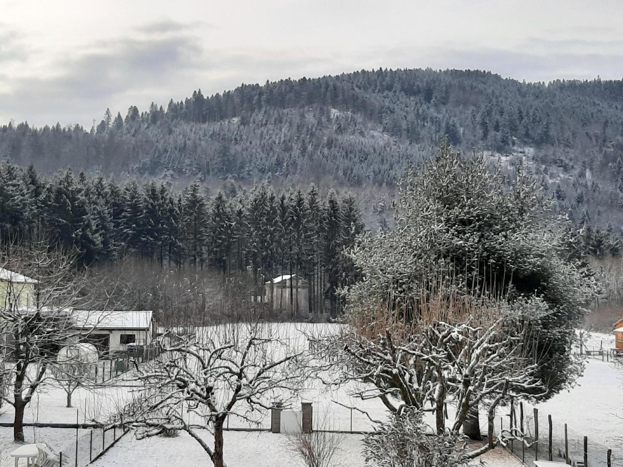 Chez Vovone 3 Etoiles Clevacances Saulxures-sur-Moselotte Esterno foto