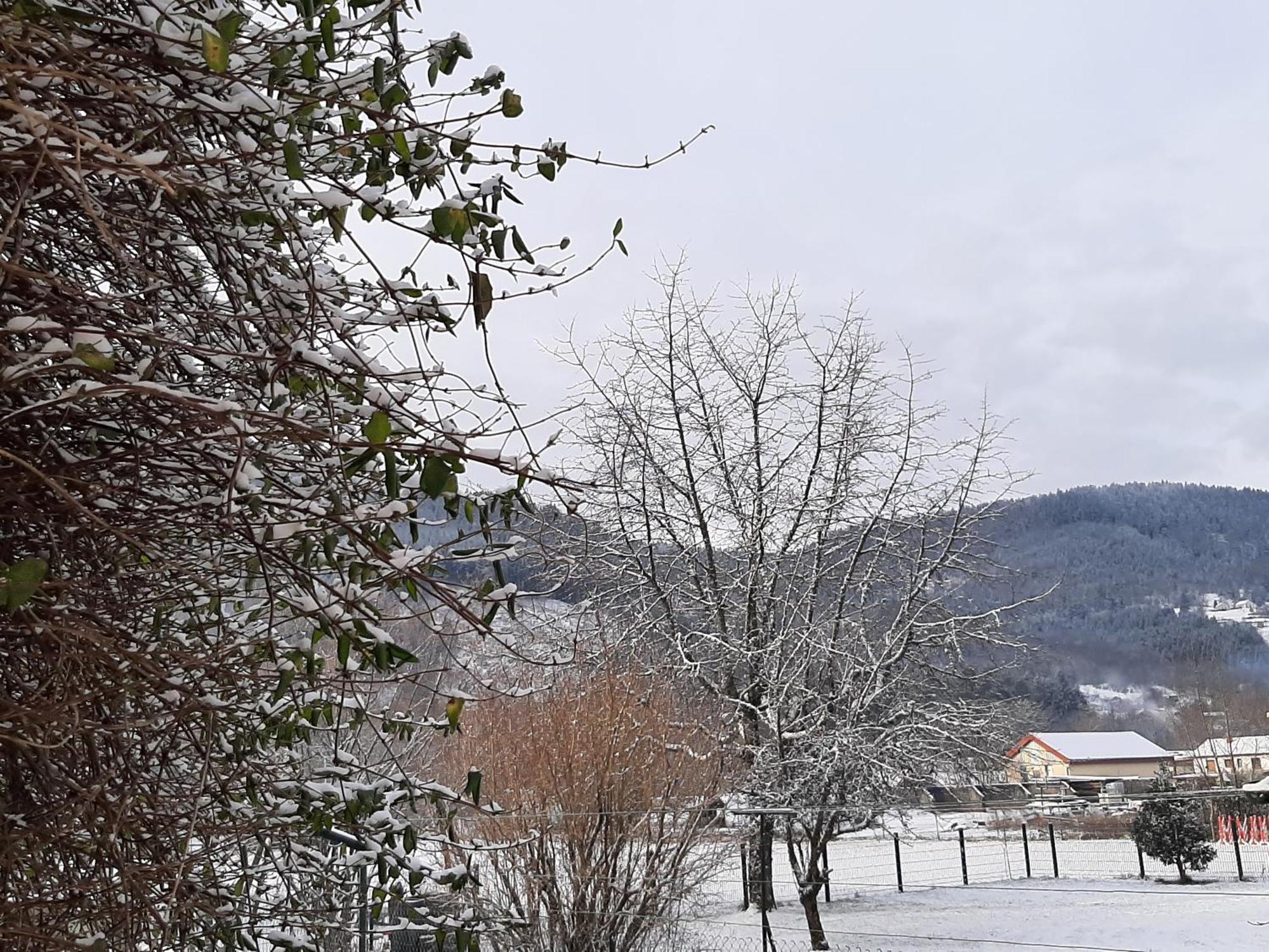 Chez Vovone 3 Etoiles Clevacances Saulxures-sur-Moselotte Esterno foto