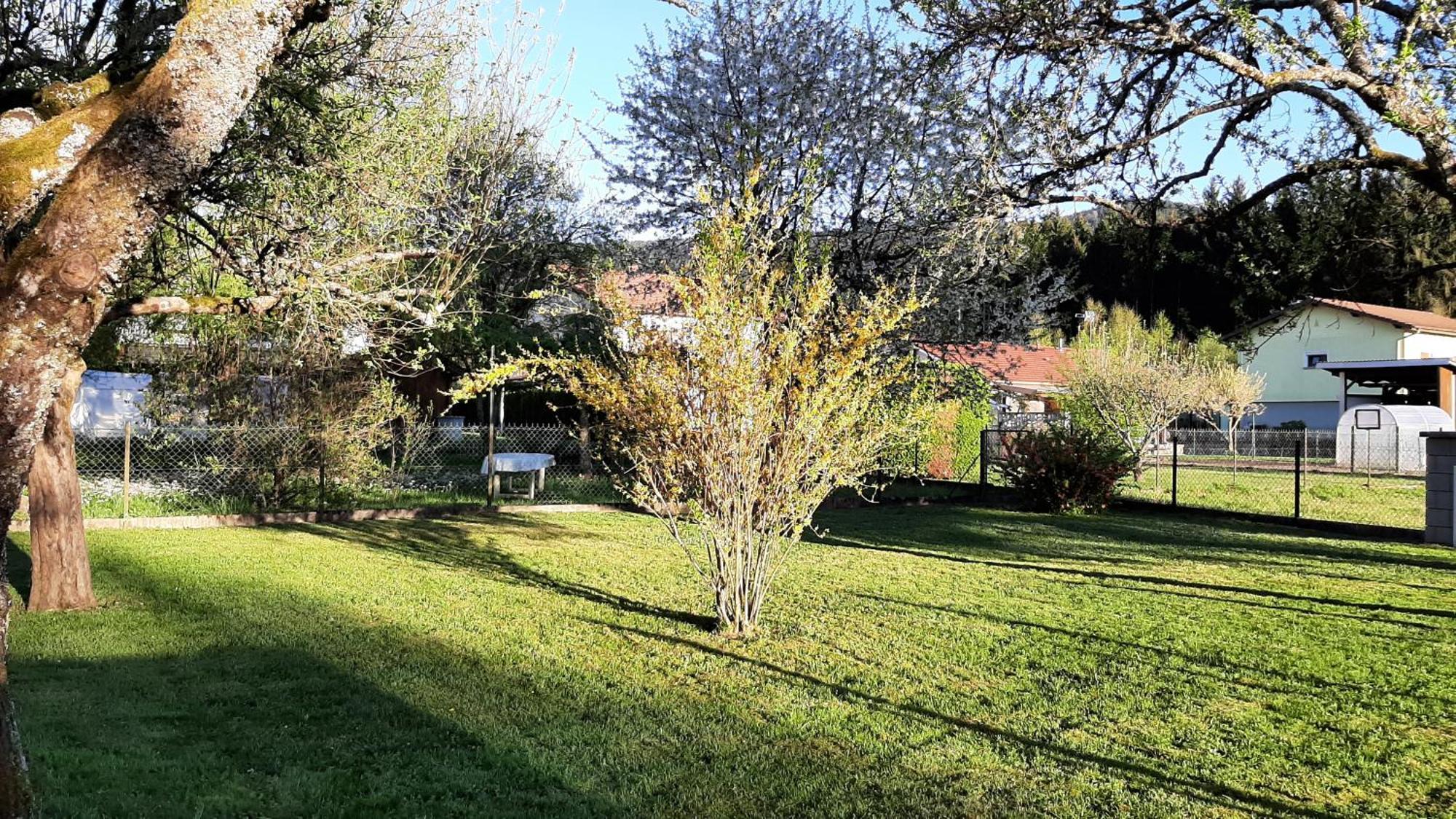 Chez Vovone 3 Etoiles Clevacances Saulxures-sur-Moselotte Esterno foto