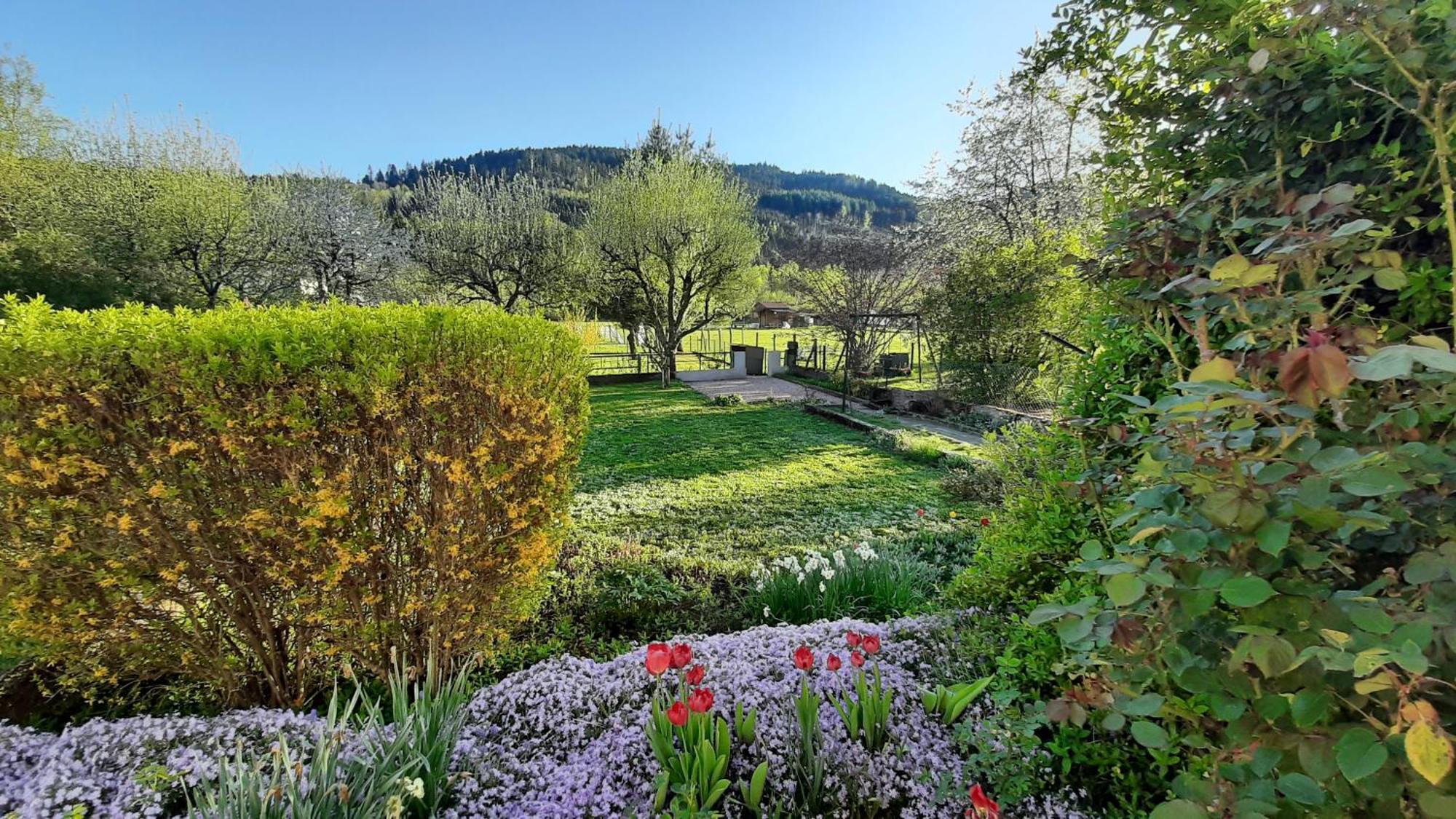 Chez Vovone 3 Etoiles Clevacances Saulxures-sur-Moselotte Esterno foto