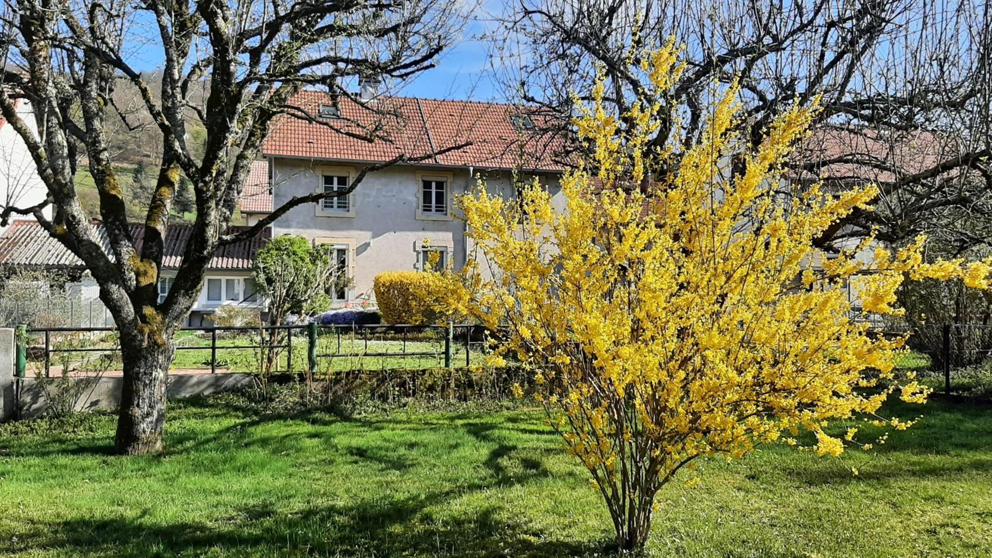 Chez Vovone 3 Etoiles Clevacances Saulxures-sur-Moselotte Esterno foto