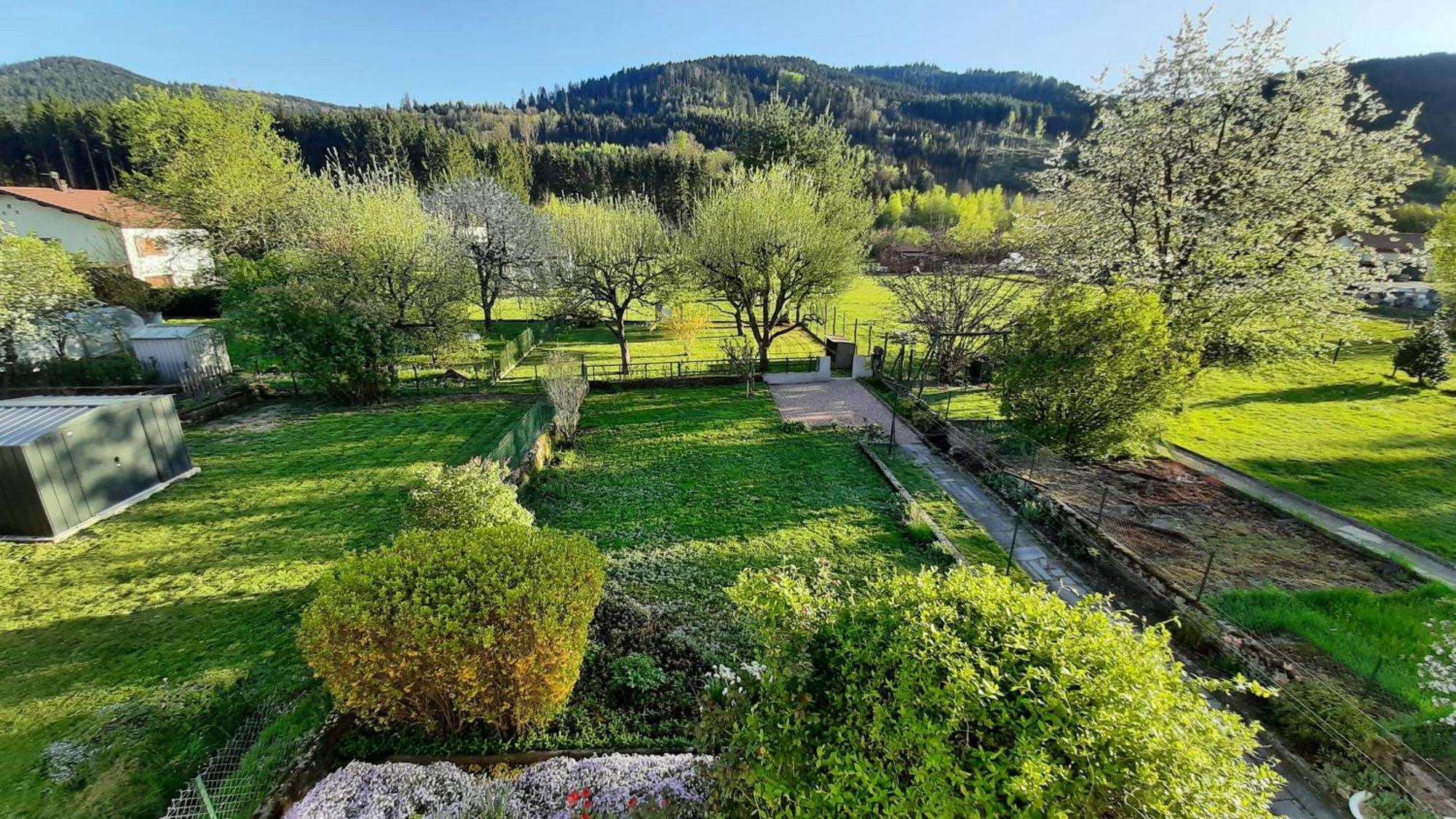 Chez Vovone 3 Etoiles Clevacances Saulxures-sur-Moselotte Esterno foto